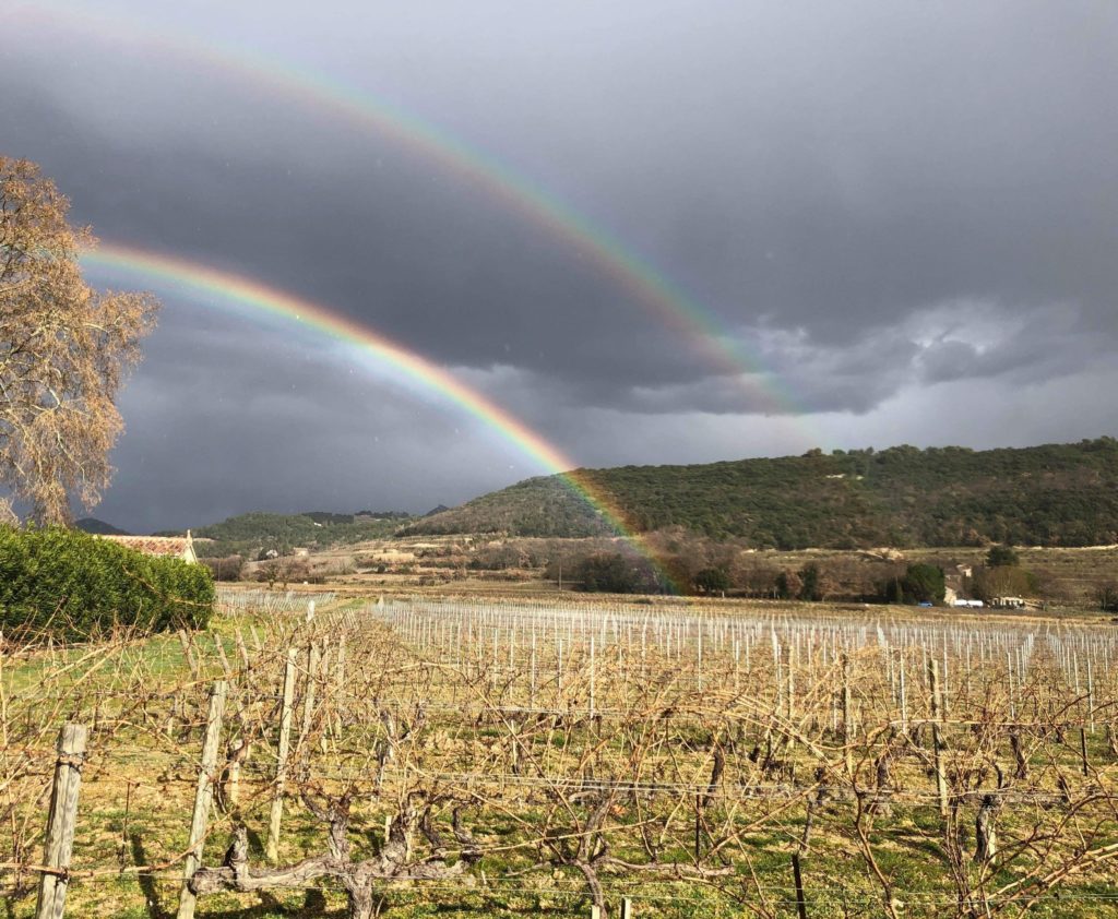 Nouveautés du mois de Février 2019